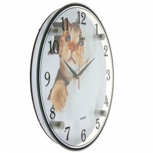 Часы настенные, серия: Животный мир, "Кот", 30х30 см в ассортименте