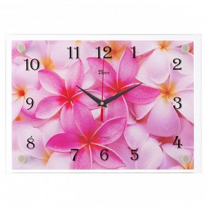 Часы настенные, серия: Цветы, "Цветы", 25х35  см, микс
