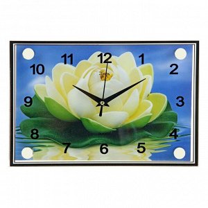 Часы настенные, серия: Цветы, "Кувшинка", 20х26  см, в ассортименте