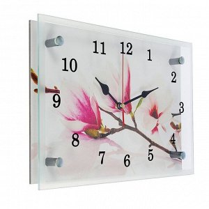 Часы настенные, серия: Цветы, "Бело-сиреневые цветы", 20х30 см