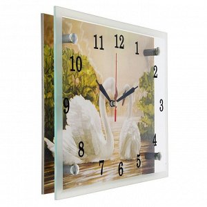 Часы настенные, серия: Животный мир, "Лебеди", 20х25  см, в ассортименте