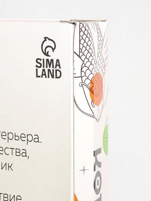 УЦЕНКА Школа талантов Набор для творчества Ковровая вышивка Карпы, подрамник