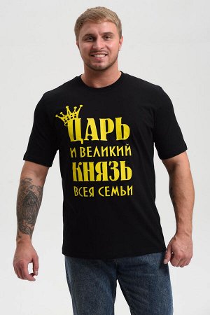 Мужская футболка 8539 / черный+князь