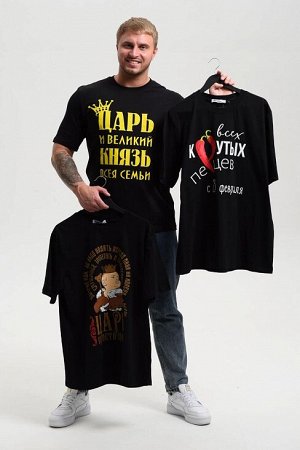 Мужская футболка 8539 / черный+князь