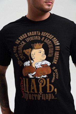 Мужская футболка 8539 / черный+царь