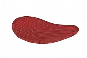 PARISA Помада для губ L03 LIPSTICK № 05 Засушенная роза