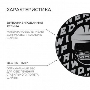 Шайба хоккейная Winter Star, взрослая, d=7,6 см