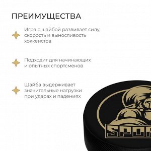 Шайба хоккейная Winter Star, взрослая, d=7,6 см