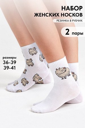 Носки женские Капибара бой (набор 2 пары)