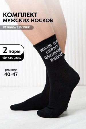 Носки мужские Школьные будни (набор 2 пары)
