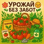 Семена + уход = урожай без хлопот! (｡•̀ᴗ-)✧
