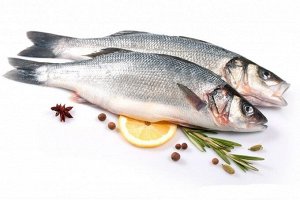 Сибас Сибас отличается очень низкой калорийностью, что позволяет использовать рыбу, в качестве диетического продукта. Врачи советуют включать продукт в рацион людям, которые хотят привести фигуру в по