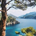 Пейзажи и животные. Мозаика 30х40см круглые стразы