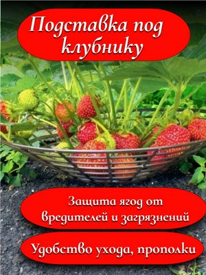 Подставка под клубнику (НАБОР 5 шт.) 255 мм, черный