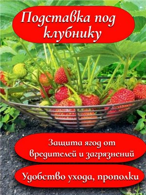 Подставка под клубнику (НАБОР 5 шт.) 255 мм, черный