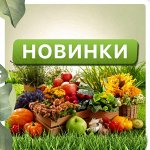 Новинки