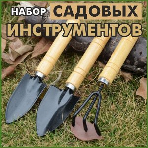 Набор инструментов для комнатных растений и рассады 3 предмета