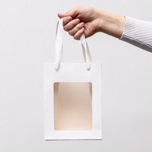 Пакет подарочный, с окном, 20x15x10 см, белый