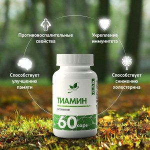 NaturalSupp B-1 Thiamine Тиамин (Витамин B1 ), 60 капс