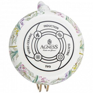 Чайник эмалированный Agness Irises 2,2 л с титановым ободком, для всех плит, стиль Италии, 1 шт.