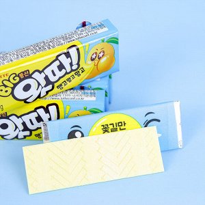 Lotte Bubble Gum Mango 23g - Корейская жвачка Лотте со вкусом манго