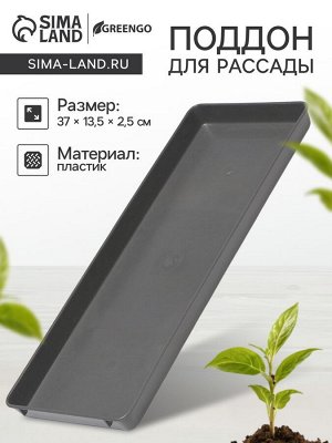 Поддон для рассады, 37 x 13 x 2,5 см, пластик, серый