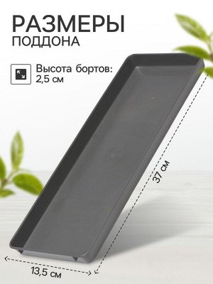 Поддон для рассады, 37 x 13 x 2,5 см, пластик, серый