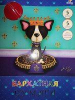 Бумага бархатная Jo Parry&#039;s collection. Король 5 листов 5 цветов (ББФ5551) 5стр., 295х210х3мм, Мягкая обложка