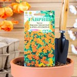 Тагетес Бархатцы &quot;Карина оранжевая &quot;, ц/п, тонколистные, 0,05 г
