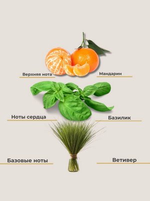 Jmella Парфюмированный кондиционер для всех типов волос Lime & Basil Hair Treatment 500 мл