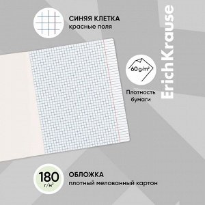 Тетрадь 12 листов в клетку ErichKrause «Классика», обложка мелованный картон, МИКС