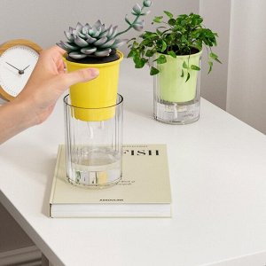 Горшок для фитильного полива, 10 х 7 см.