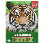 Не скучай — почитай! Книжки для обучения и развлечения