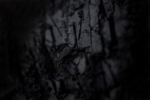 Задира Рассыпчатые тени для век Sigil inspired Tammy Tanuka, тон "Задира", локация Обитатели Ржавых Пустошей.

 
 Техническая информация:

 Цвет: Глубокий черный. Финиш - матовый.

 Рекомендации по н