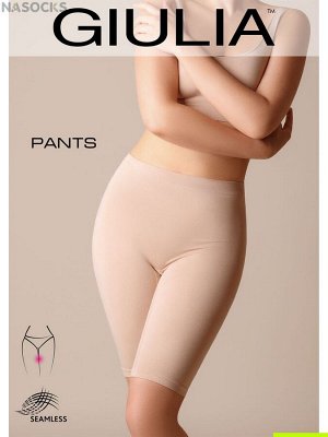 PANTS 01 (Giulia) бесшовные панталоны  с высоким поясом