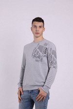 Свитшот мужской 2113-010 серый