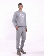 Брюки мужские 3006-010 серый