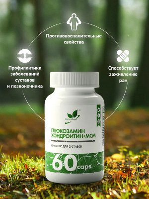 Natural Supp Глюкозамин Хондроитин+ MSM для суставов и связок, 60 капс