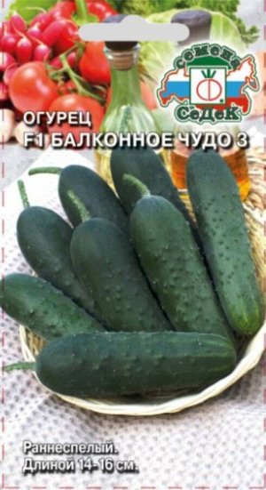 Огурец Балконное Чудо F1 ЦВ/П (СЕДЕК) 0,2гр раннеспелый партенокарпический комнатный