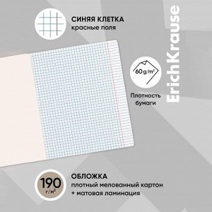 Тетрадь 48 листов в клетку, ErichKrause "Балет", обложка мелованный картон, матовая ламинация, блок офсет 100% белизна, МИКС (1 вид в спайке)
