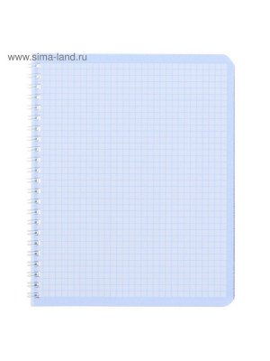 Тетрадь 48 листов в клетку, на гребне METALLIC "Серебро", бумвинил