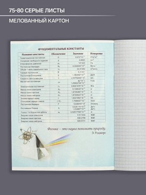 Тетрадь предметная 48 листов в клетку Calligrata «3D. Физика», серые листы