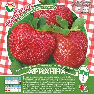 Клубника Арианна А 10шт/пучок (Сиб сад)