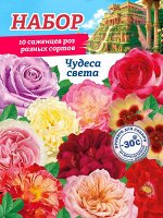 №5 Роза НАБОР &quot;Чудеса Света&quot; 2 разбор ОКС 10шт/пучок (Сиб сад)