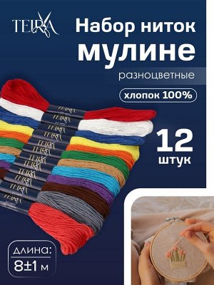 Нитки мулине TEIRA «Сочный», 8±1 м, 12 шт., разноцветные