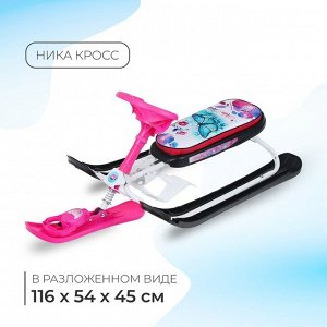 Снегокат «Бабочки», СНК/Б2