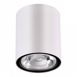 358012 STREET NT19 325 белый Ландшафтный светильник IP65 LED 3000К 6W 220V TUMBLER