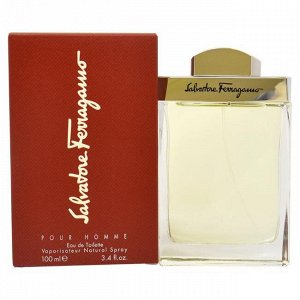 SALVATORE FERRAGAMO men 100ml edt туалетная вода мужская