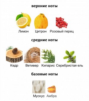 Духи 2 Wood Dsquared 100 мл. Оригинал
