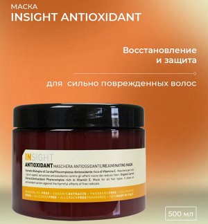 INSIGHT ANTIOXIDANT Маска антиоксидант для перегруженных волос (500 мл)